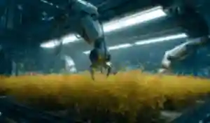 HIGH YIELD