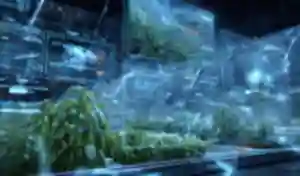 TRANSPARENT